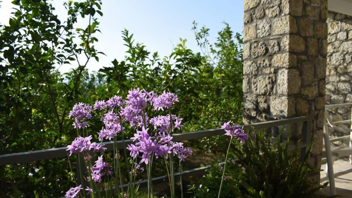 Coastal Stone Hideaway With Stunning Scenery Villa Kitriaí Eksteriør bilde